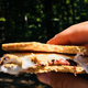 Image for article titled I Rebuke Your Bullcrap Marshmallow Roasting Tactics In The Strongest Possible Terms